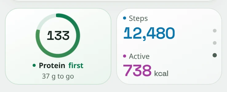 Snapkin Today cards with the protein ring at 133 grams, 12,480 steps and 738 active kcal in large numbers.